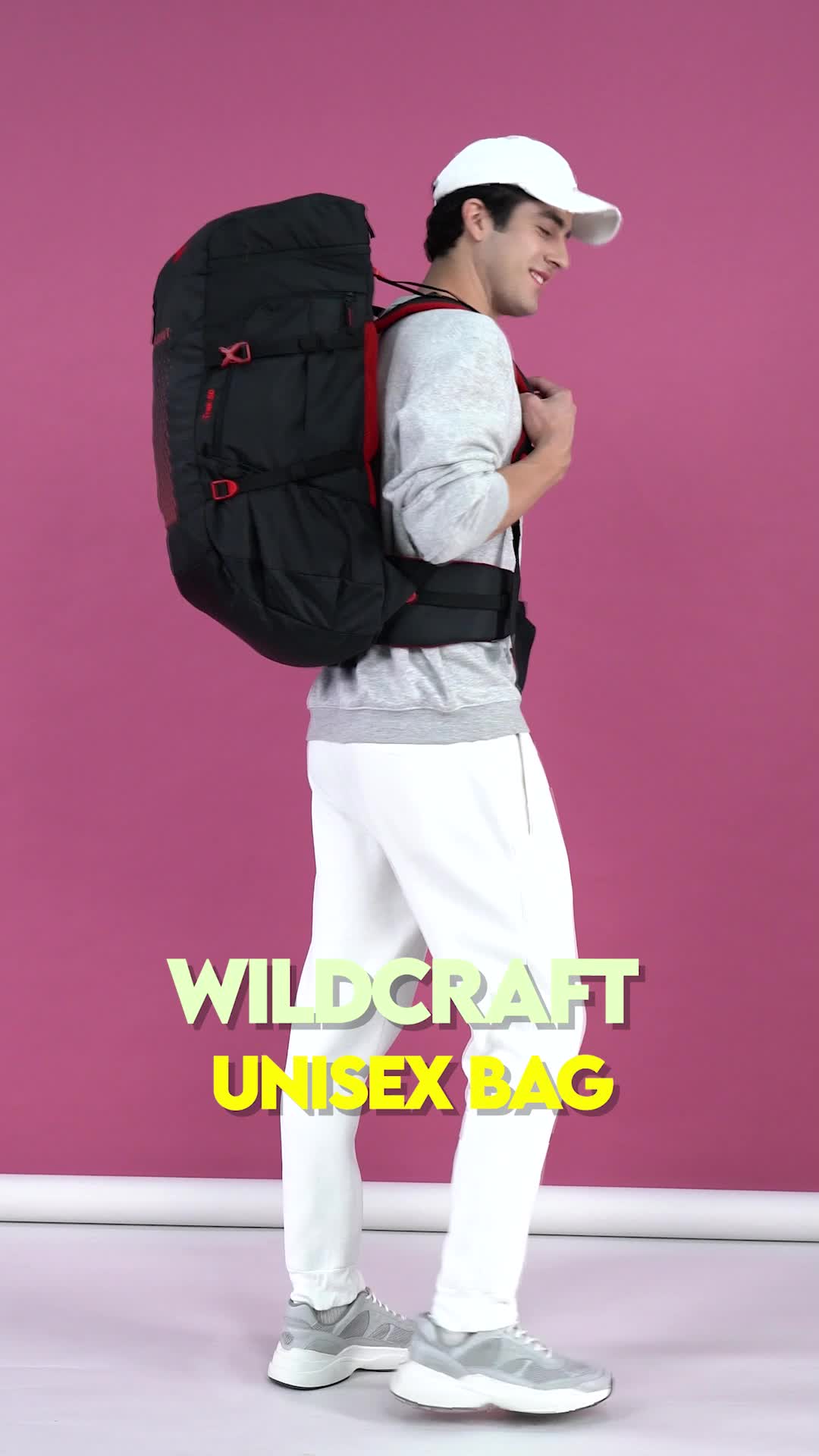 Wildcraft trekking cheap bags flipkart