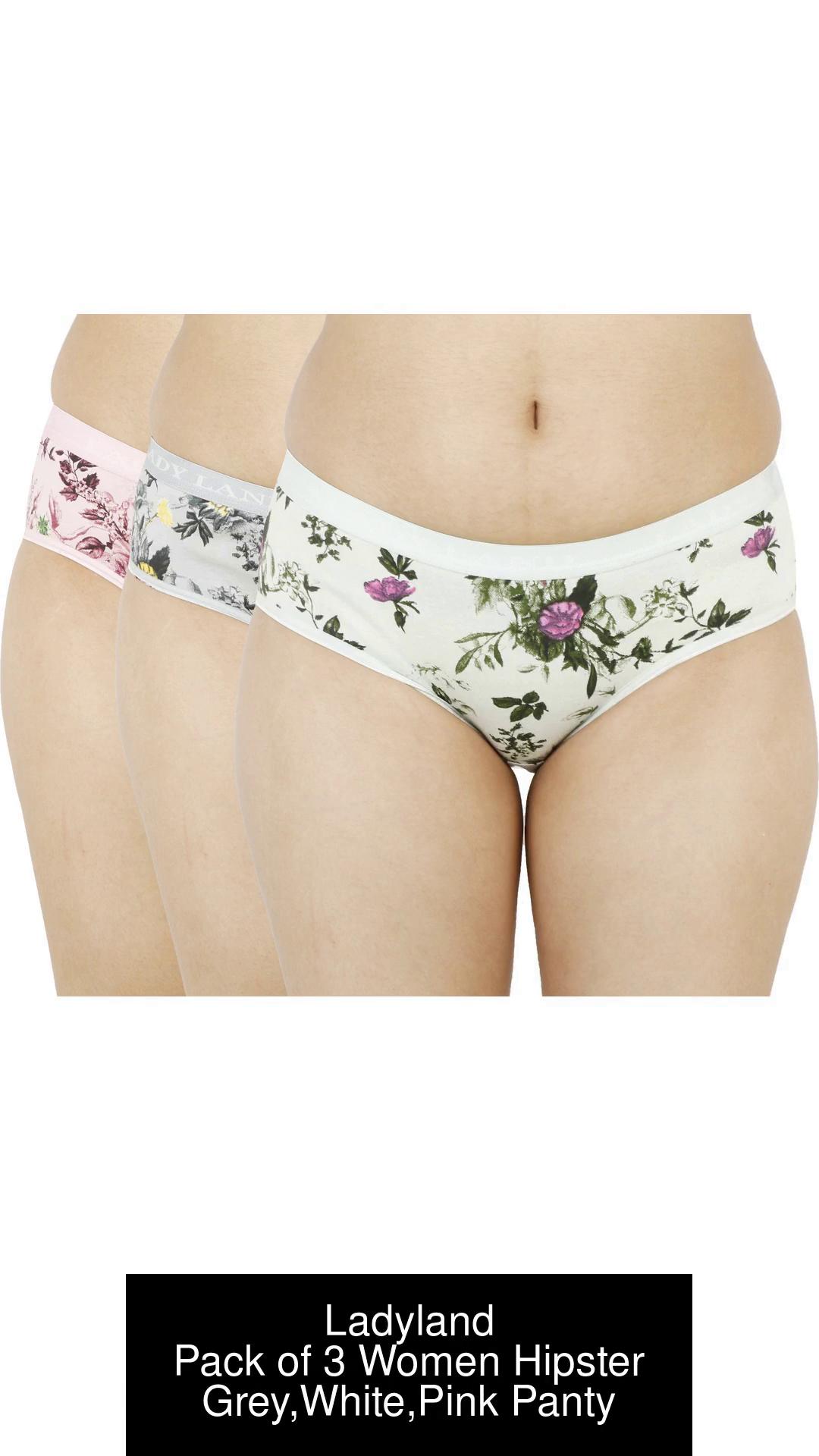 Ladyland Women Hipster Multicolor Panty - Price History